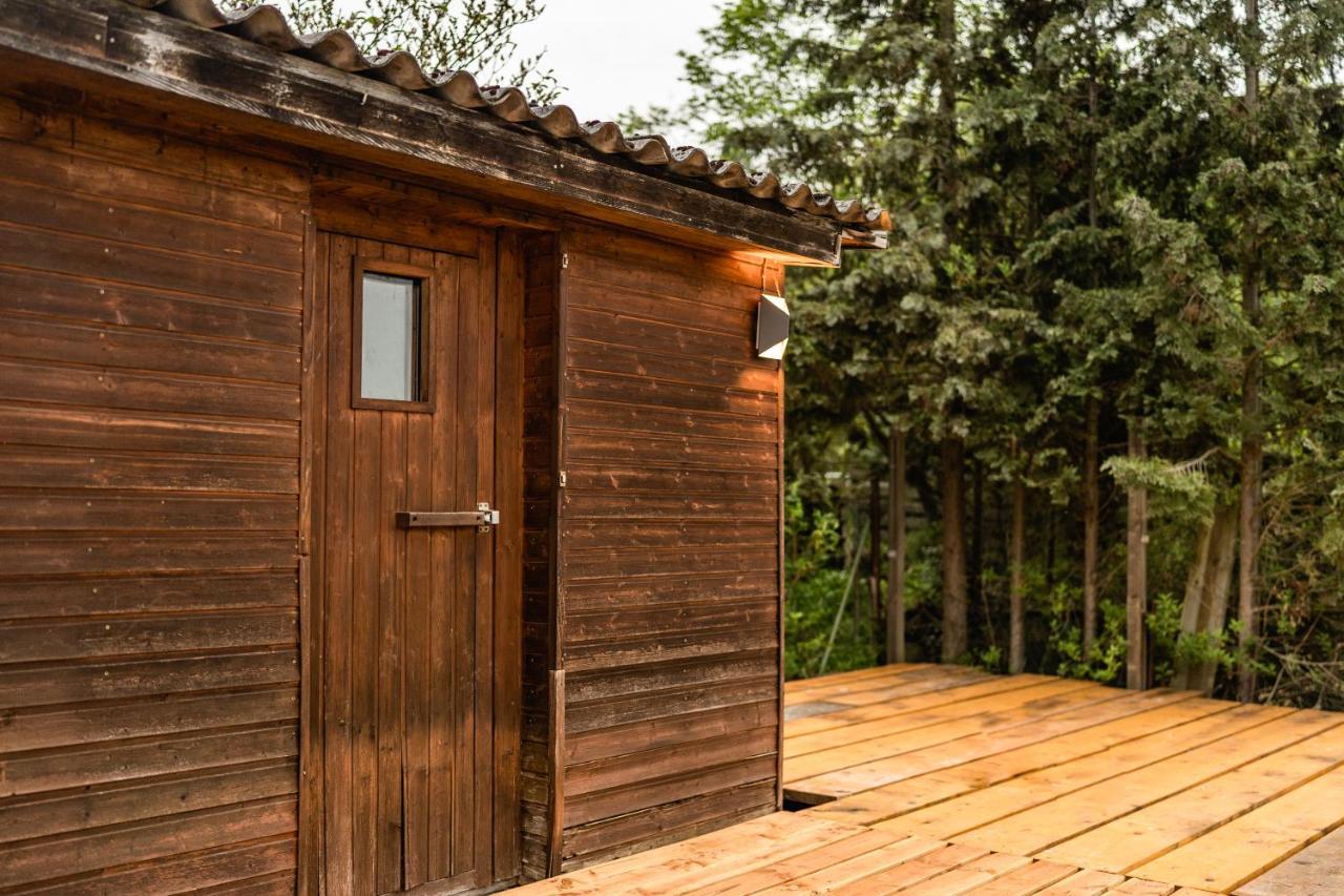 Die Entspannendste Wohnung Am Edersee - Spa Sauna Edertal Extérieur photo